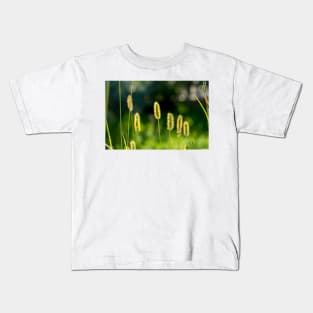 Field flowers photographed in Bucegi mountains, Romania. Spring day Kids T-Shirt